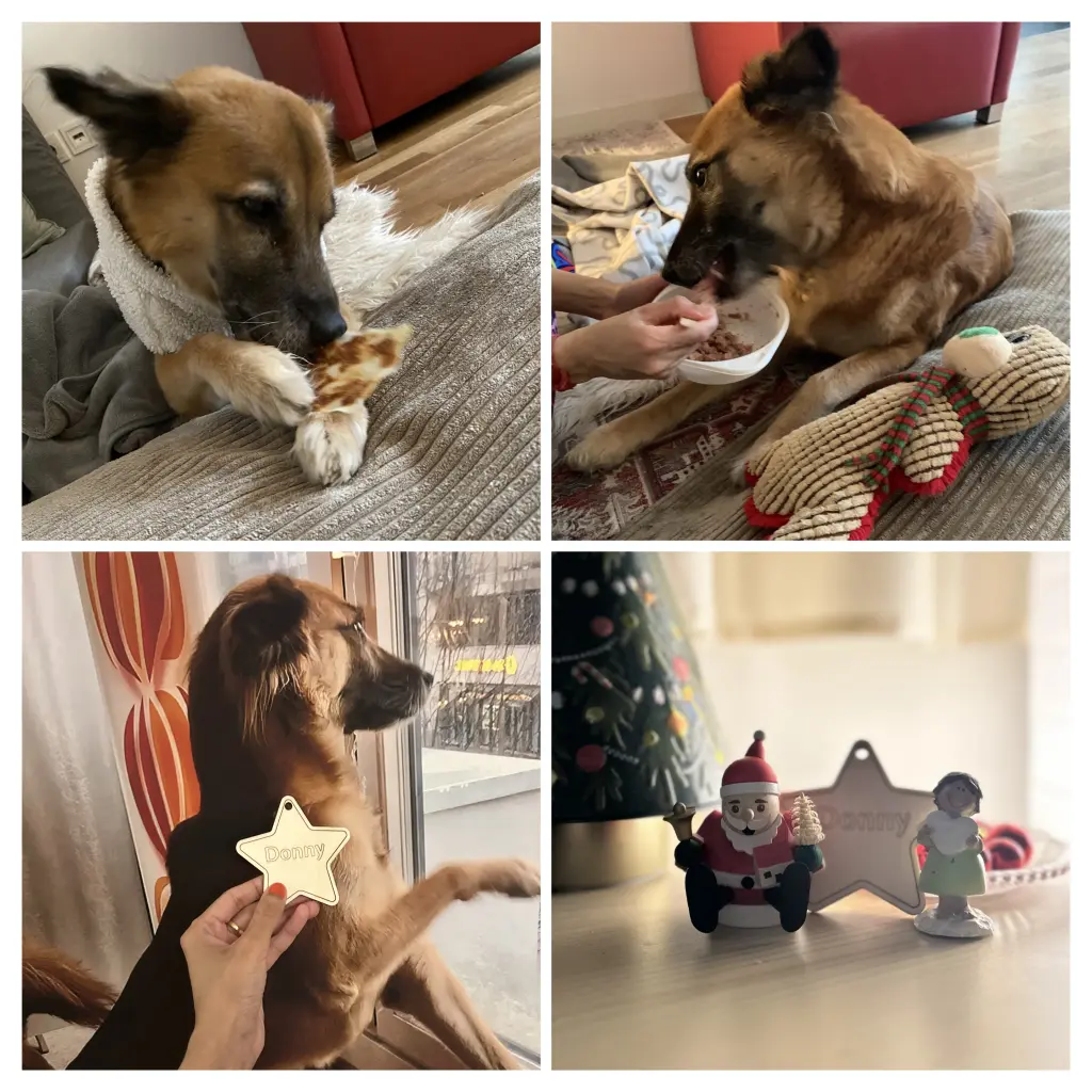 Andachtsbild von Amrita Donny’s best friend