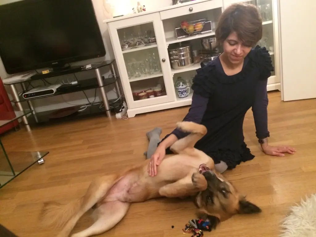 Andachtsbild von Amrita Donny‘s best friend