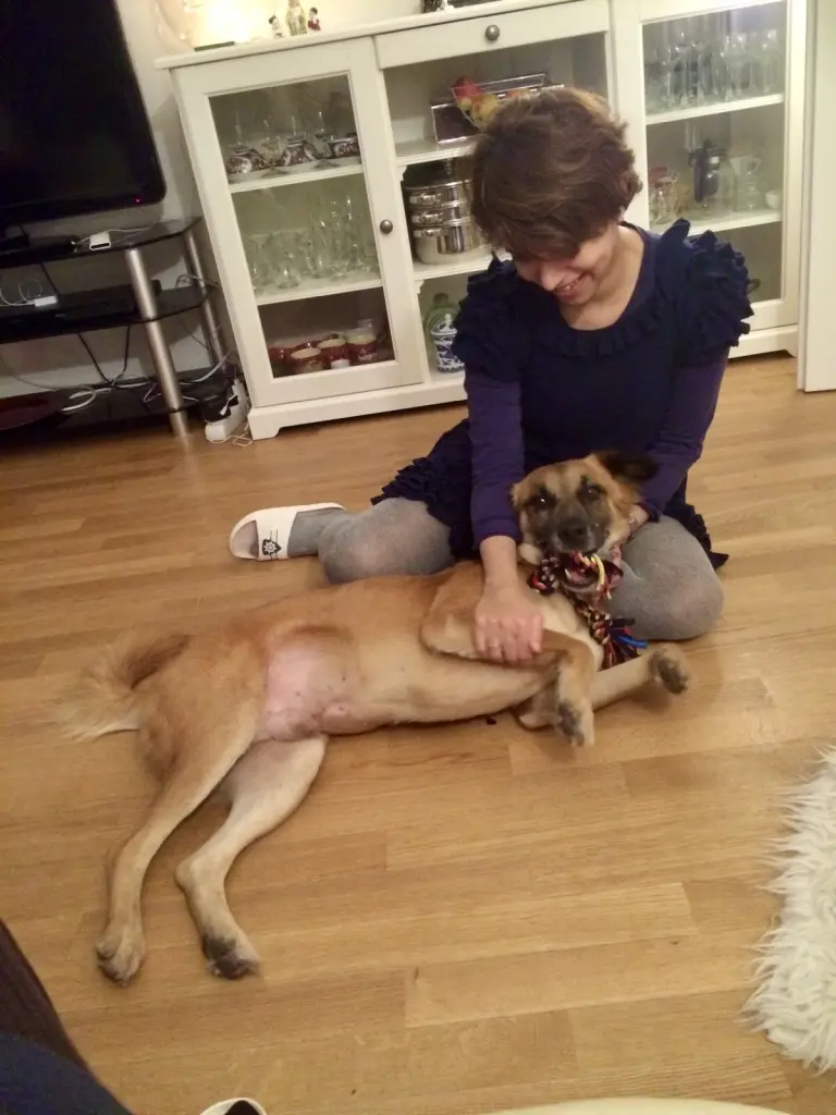 Andachtsbild von Amrita Donny's Best Friend