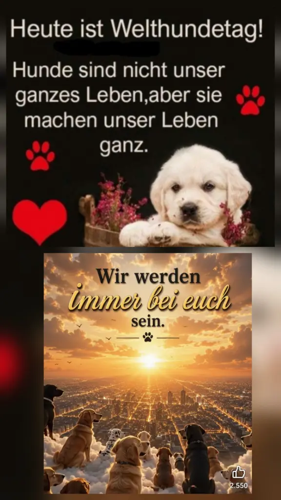 Andachtsbild von Claudia mit ASKO♥️