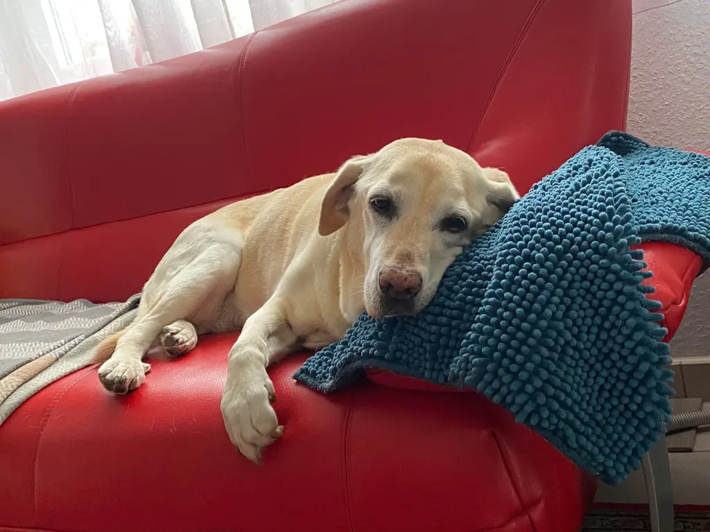 Andachtsbild von Christine