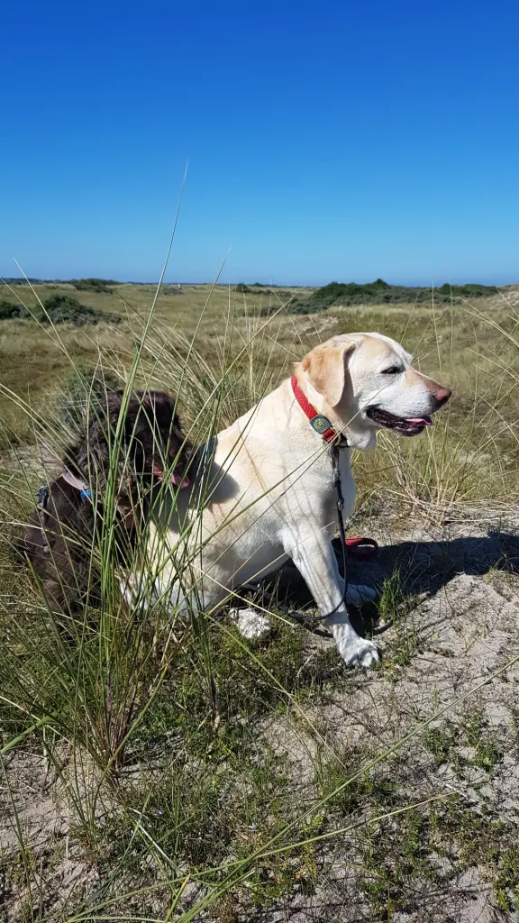 Andachtsbild von Christine