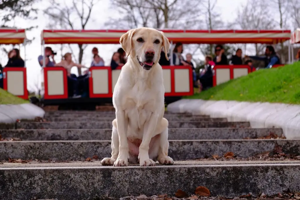 Andachtsbild von Christine