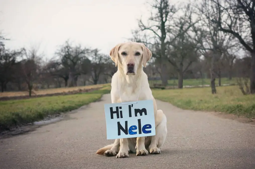 Andachtsbild von Christine