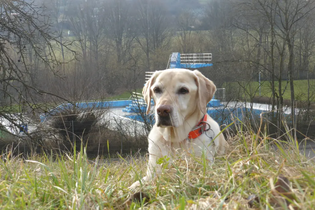 Andachtsbild von Christine