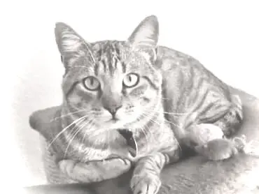 Andachtsbild von Tanja Awsiukiewicz