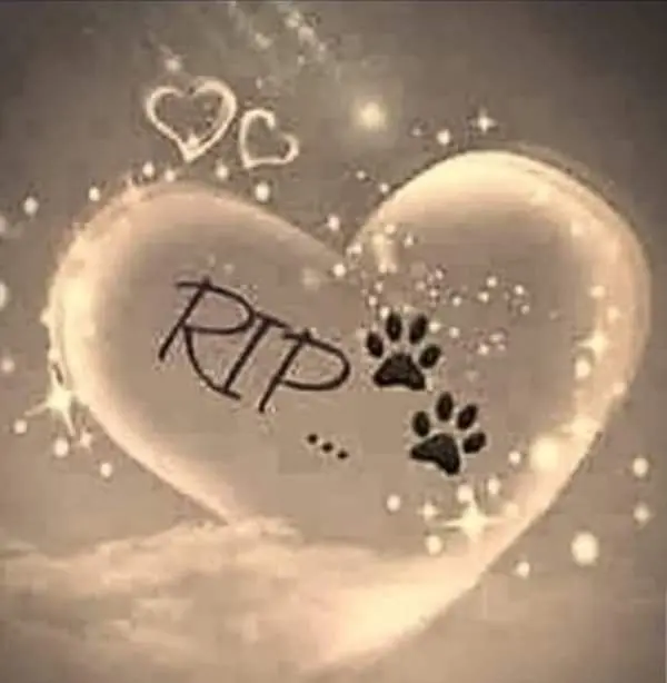 Andachtsbild von Tanja