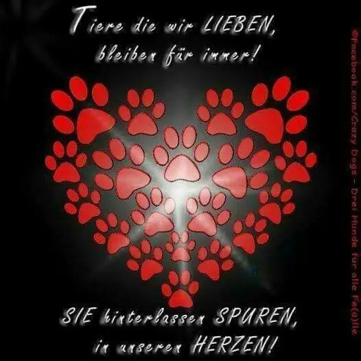 Andachtsbild von Tanja