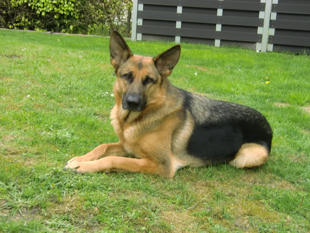 Condolence image of Birgit
