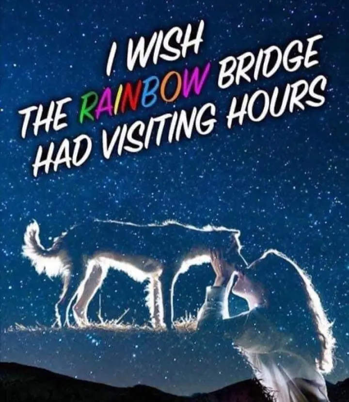 Condolence image of Birgit