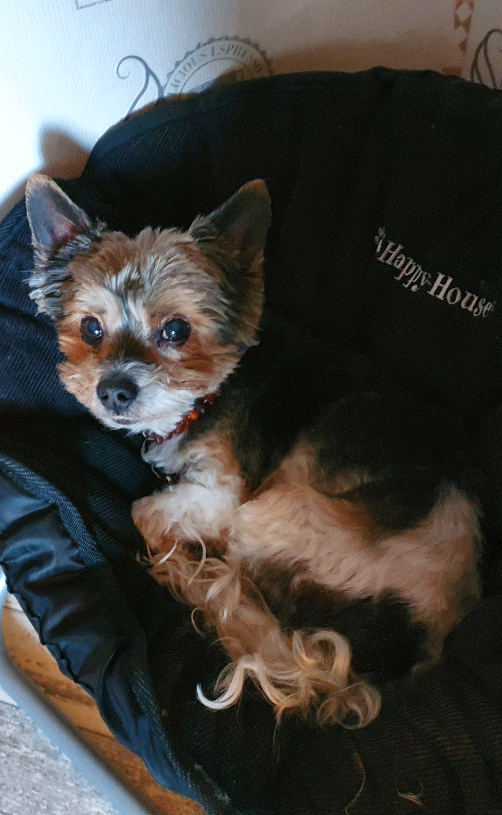 Einer von seinen Lieblingsplätzen.