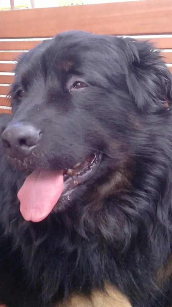 Condolence image of Mama