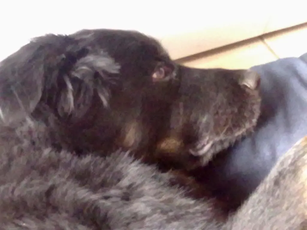 Condolence image of Mama