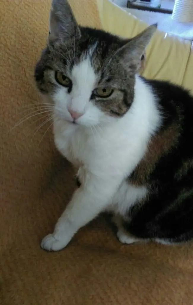 Condolence image of Isabel Andres