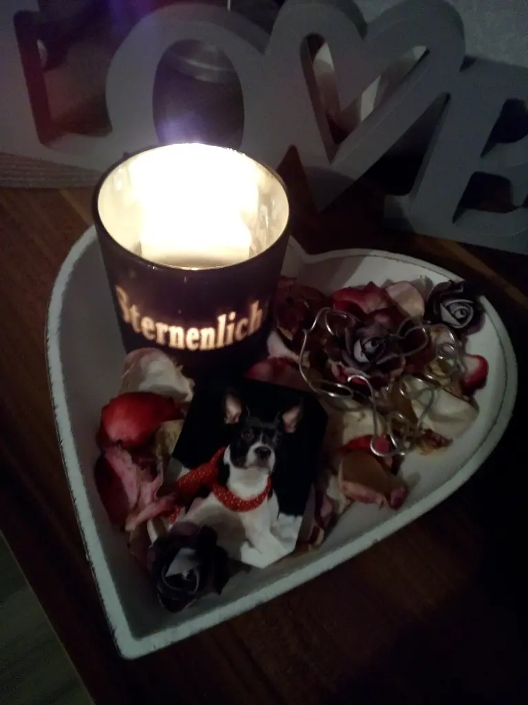 Image from Kira