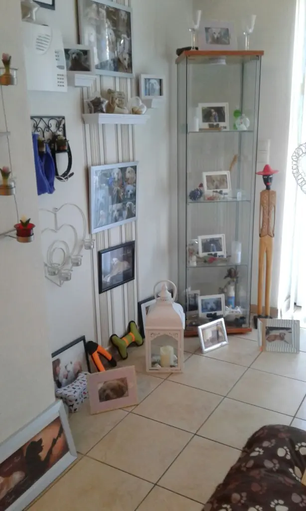 Image from Payk