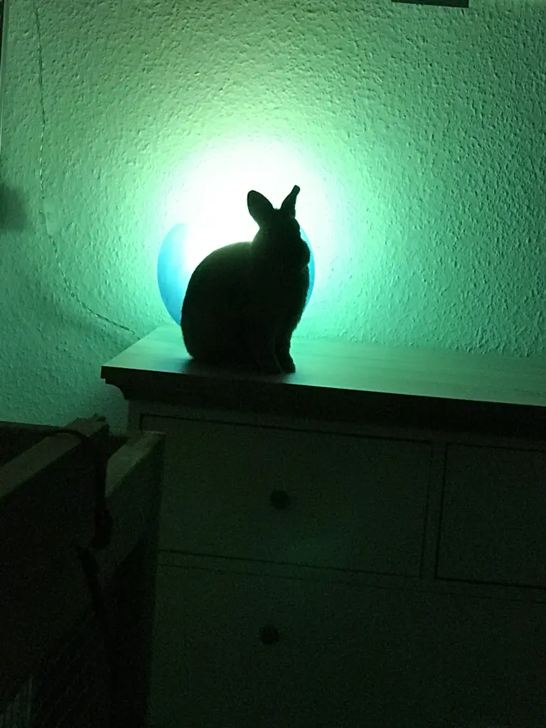 Image from Winnifred