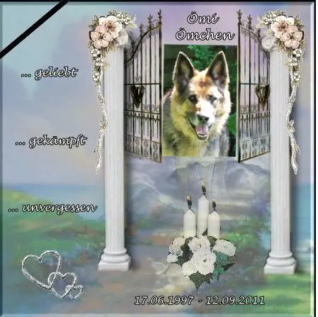 Image from Ömi Ömchen