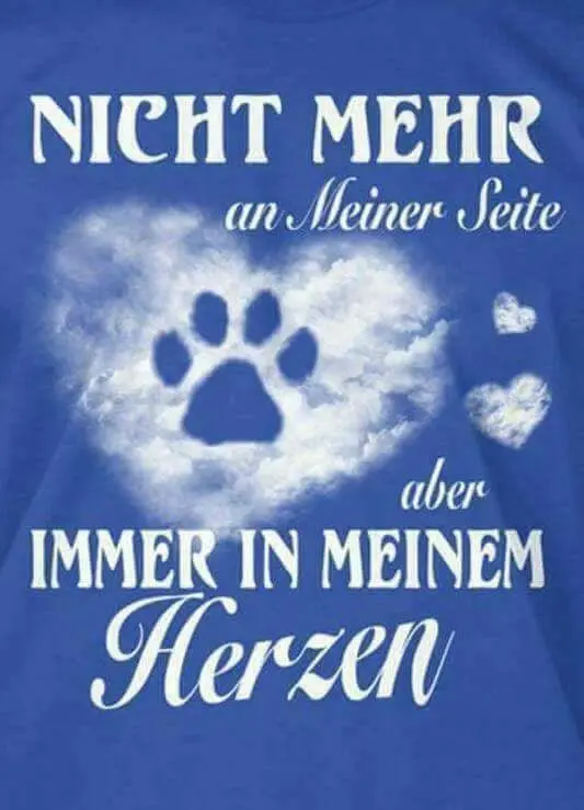 Condolence image of Rosa-Carina  Eichinger