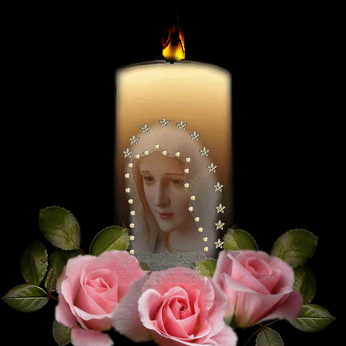 Condolence image of Ludi 