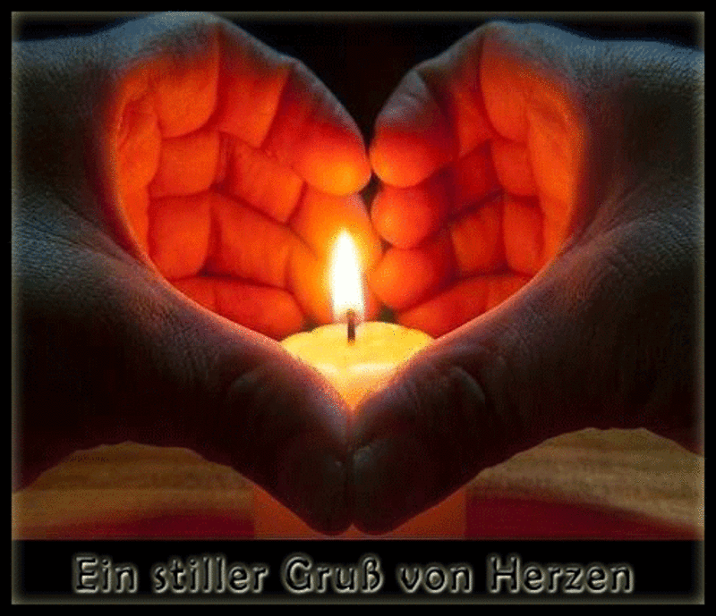 Condolence image of Ludi 