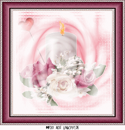 Condolence image of Ludi 