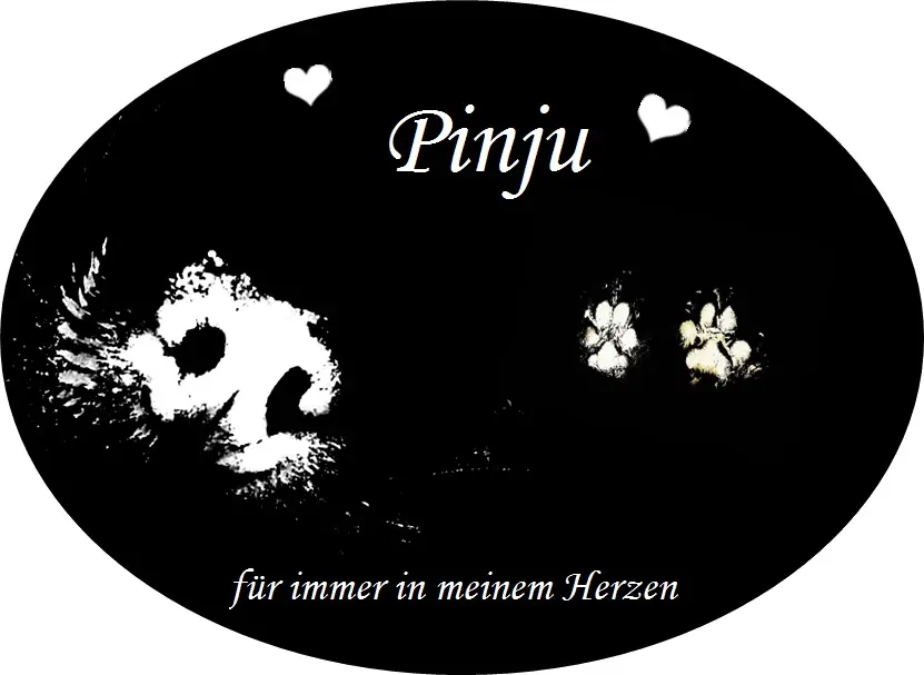 Image from Pinju