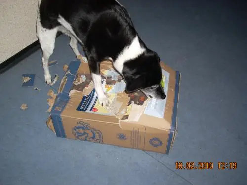 Image from Billie-Jean