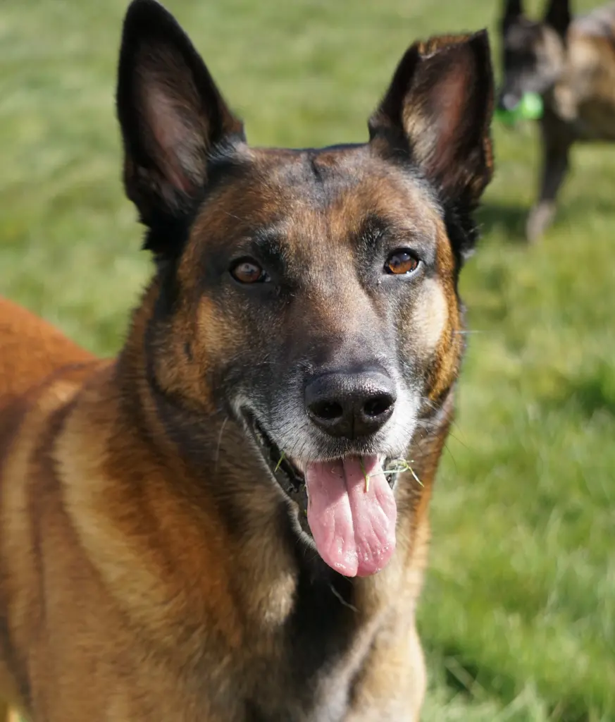 Bild von Nero