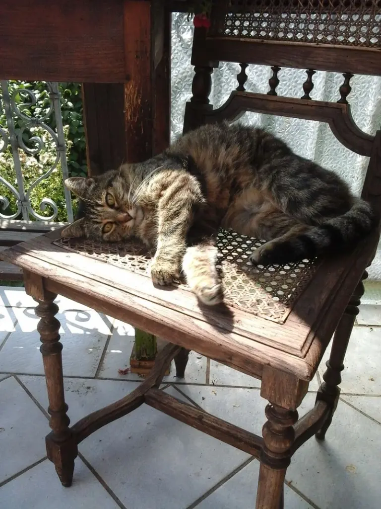 Condolence image of Tatjana