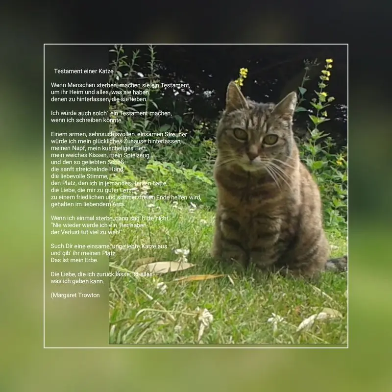 Condolence image of Tatjana
