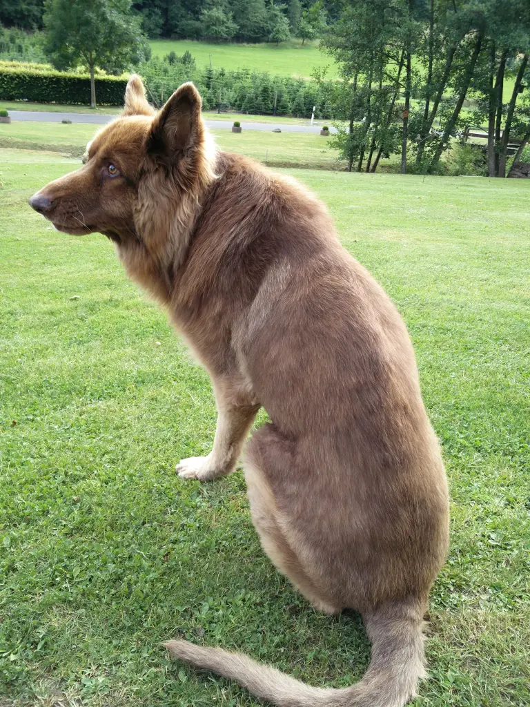 Condolence image of Isabell Ich bin bei Dir, Dirk