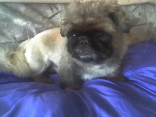 Image from für mein kleiner wuschelbär