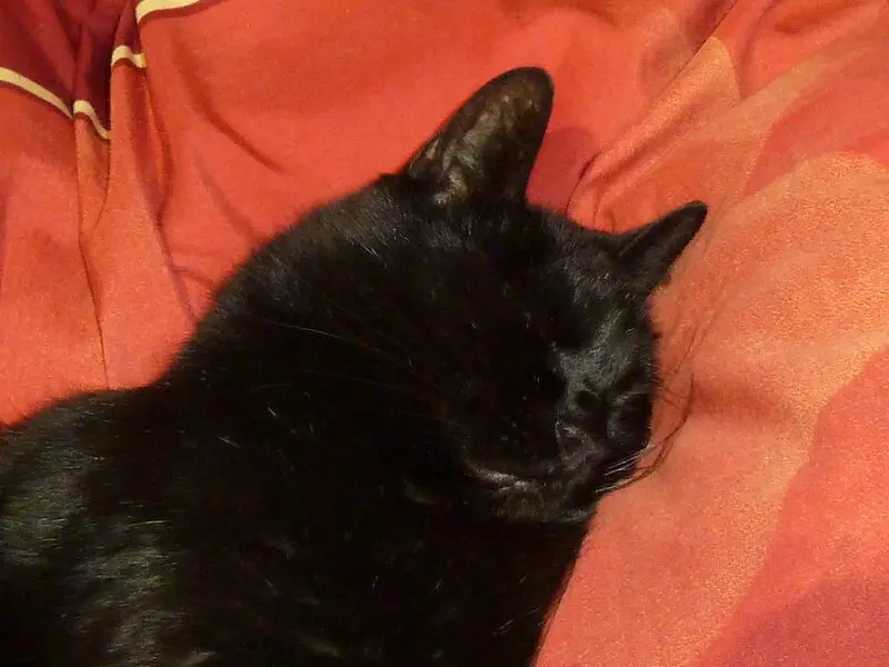 Andachtsbild von Anja und Michael