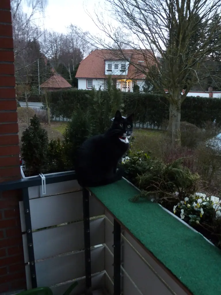 Andachtsbild von Mama ❤️