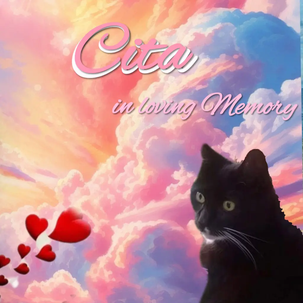 Andachtsbild von Gaby mit Snowy* im Herzen