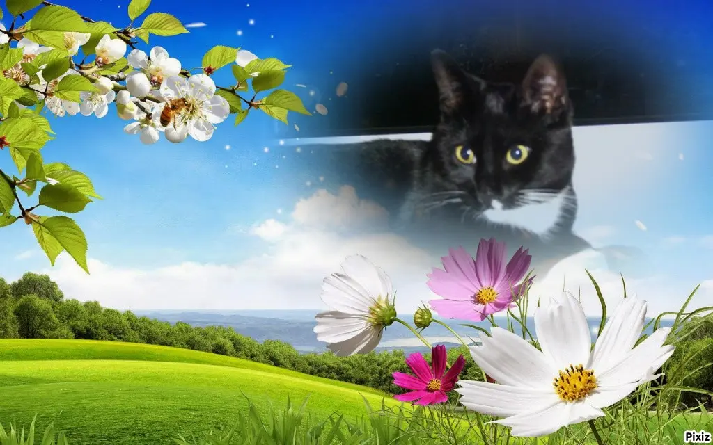 Andachtsbild von Tanja mit Timmy im Herzen