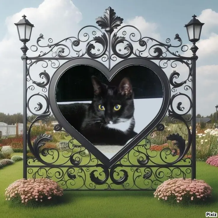 Andachtsbild von Tanja mit Timmy im Herzen 