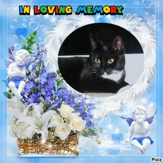 Andachtsbild von Tanja mit Timmy im Herzen 