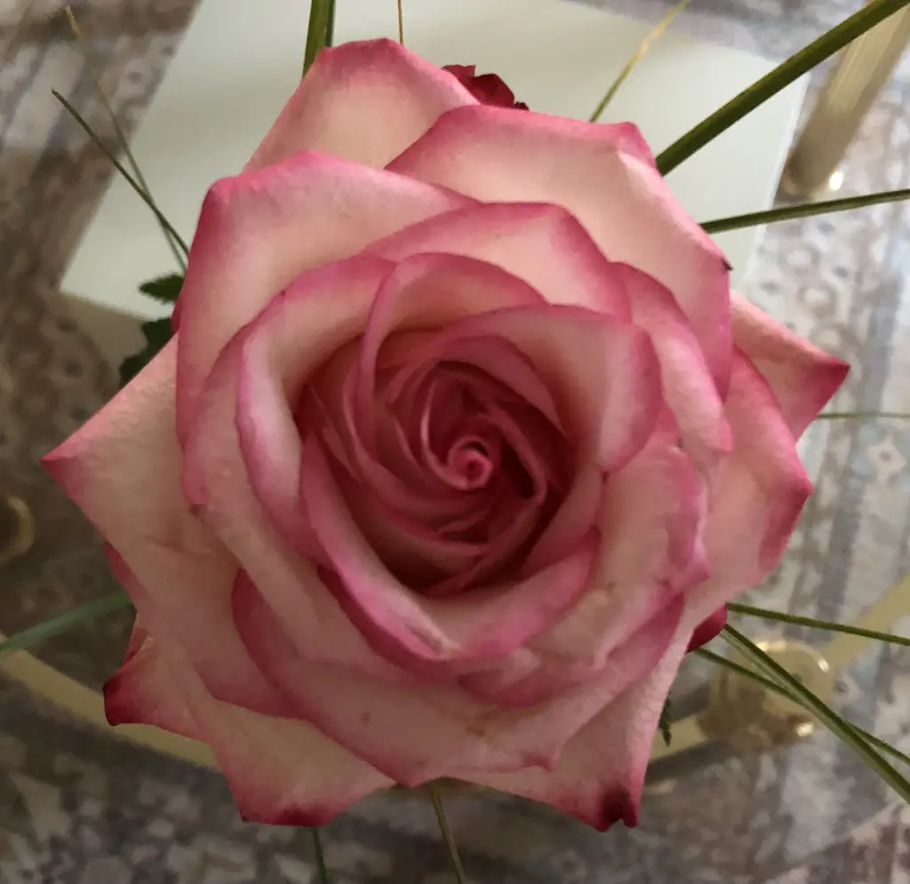 Andachtsbild von Mama ❤️