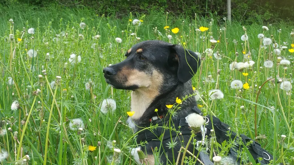 Andachtsbild von Konni mit Mayte tief im Herzen ❤️
