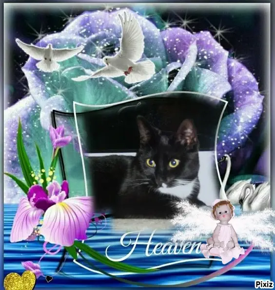 Andachtsbild von Tanja mit Timmy im Herzen 