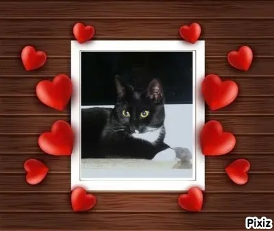 Andachtsbild von Tanja mit Timmy im Herzen 