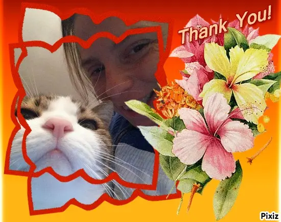 Andachtsbild von Timmy und Tanja an Samtpfötchen Cita ❤ und an ihre Mama Heide 