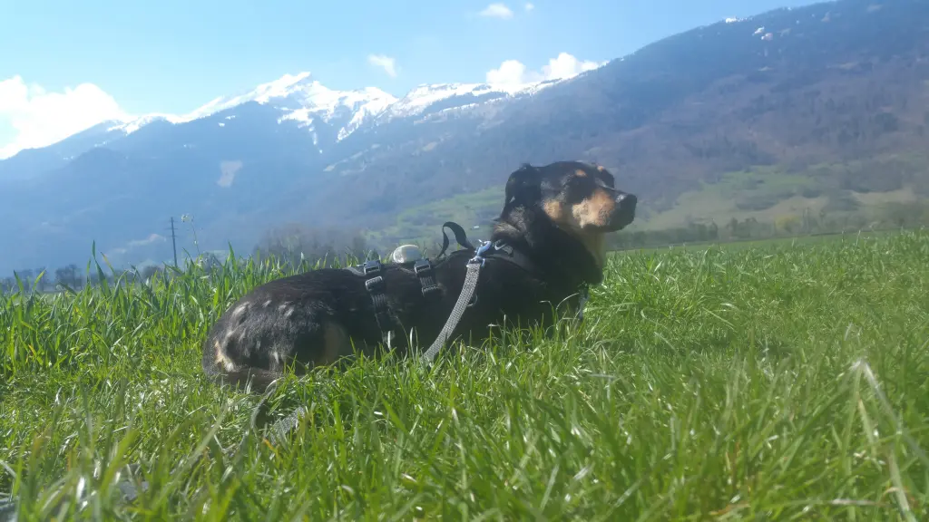 Andachtsbild von Unbekannt