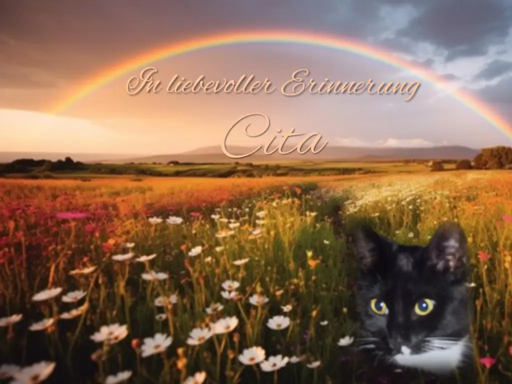 Andachtsbild von Gaby mit Snowy im Herzen 