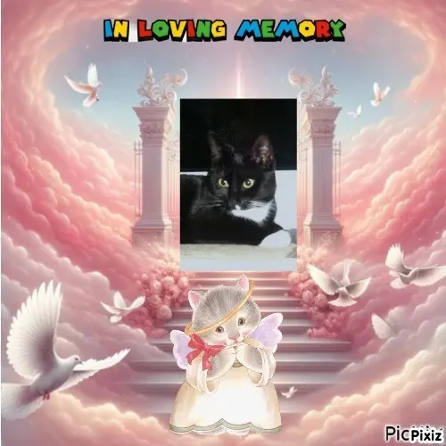 Andachtsbild von Tanja mit Timmy im Herzen 