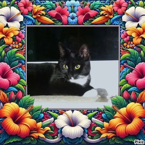 Andachtsbild von Tanja mit Timmy im Herzen 