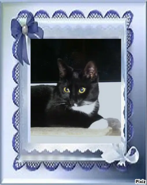 Andachtsbild von Tanja mit Timmy im Herzen 