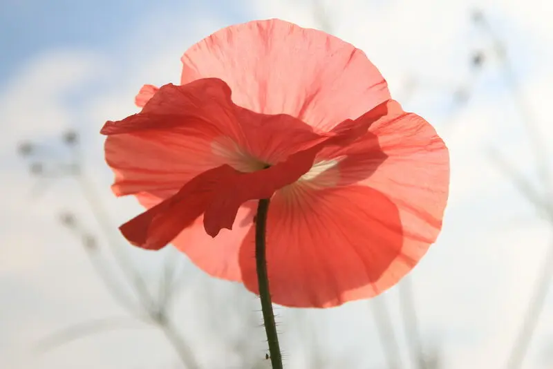 Andachtsbild von Wochenendgrüsse♥️